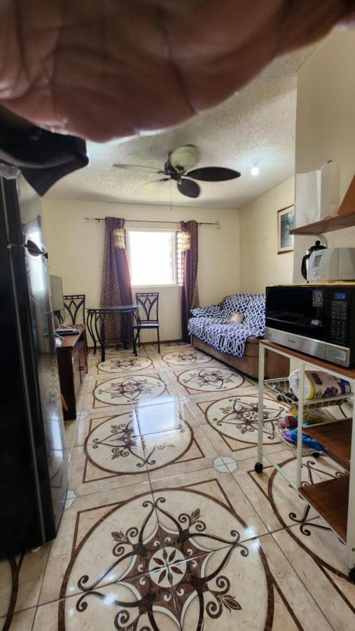 Oaklands Oasis Daire Kingston Dış mekan fotoğraf