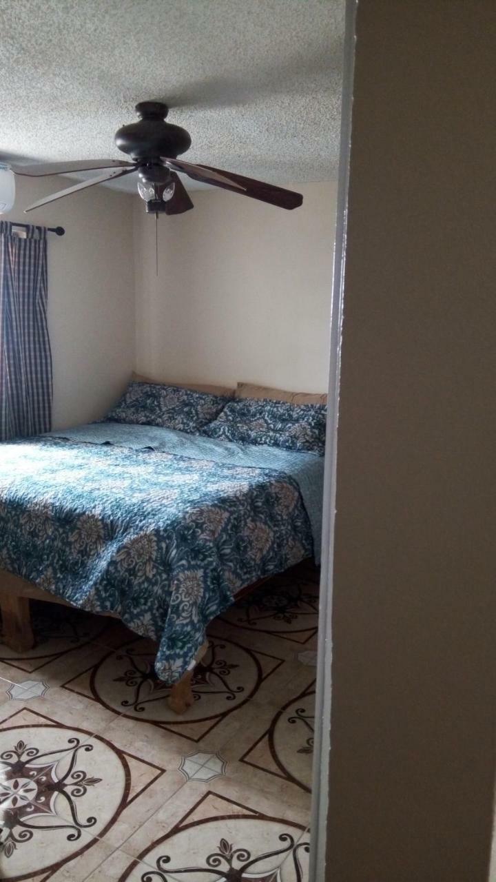Oaklands Oasis Daire Kingston Dış mekan fotoğraf