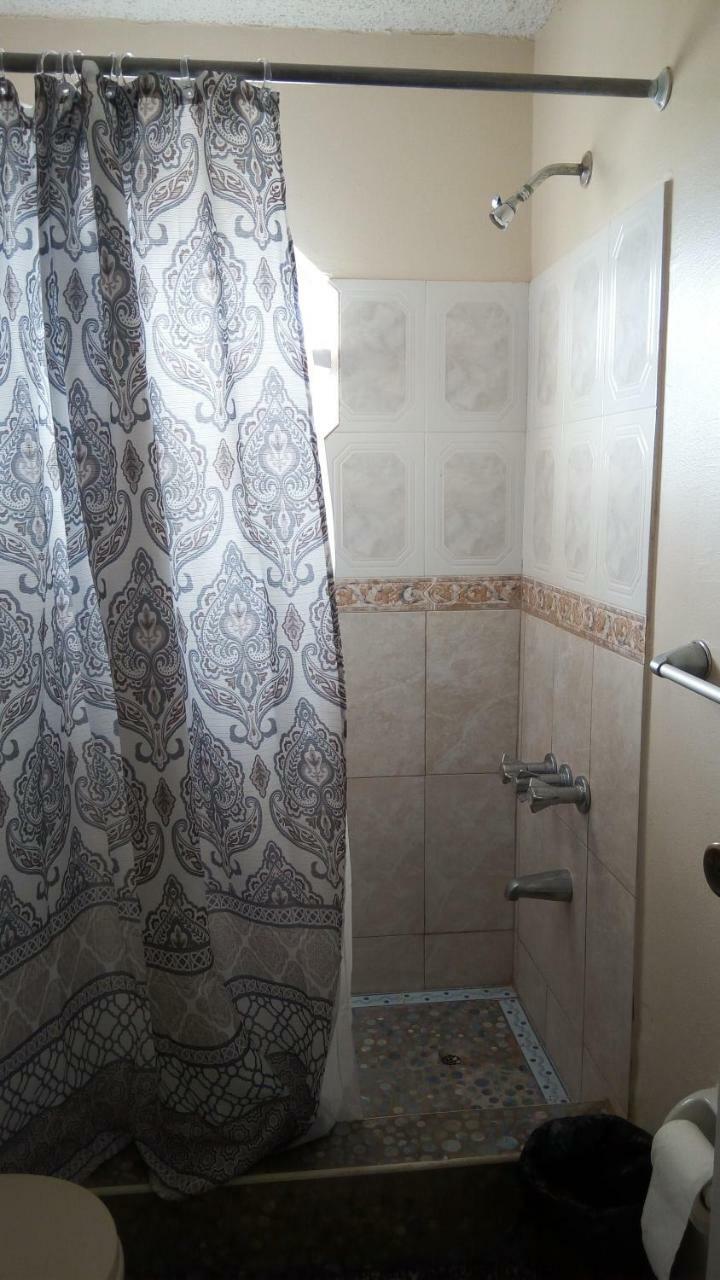 Oaklands Oasis Daire Kingston Dış mekan fotoğraf