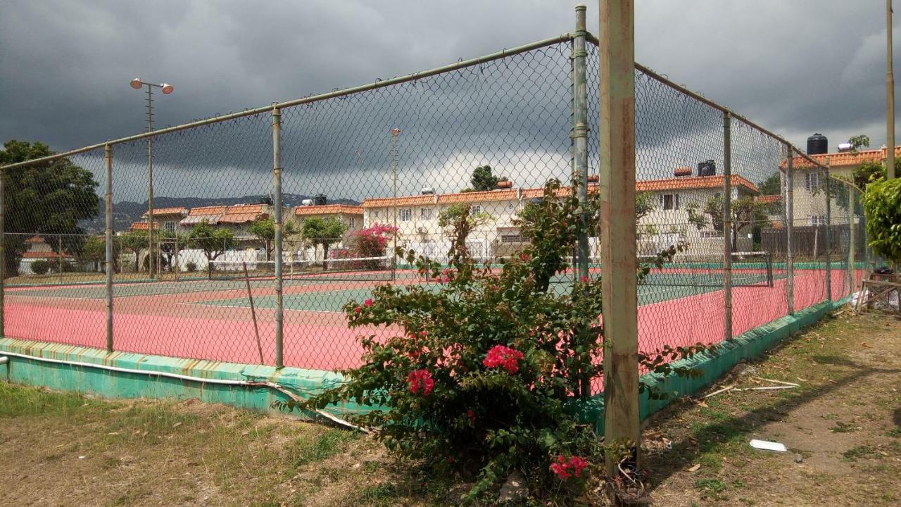 Oaklands Oasis Daire Kingston Dış mekan fotoğraf